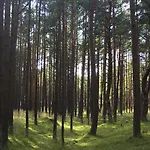 Sunny 度假居 *