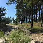 Holiday home Sunny Palanga