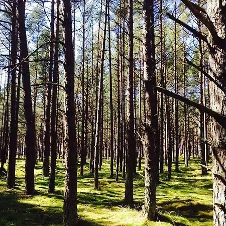 بيت للعطل Sunny بالانغا