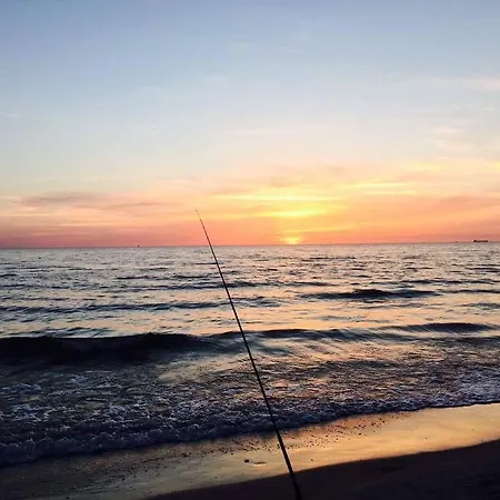 بيت للعطل Sunny *