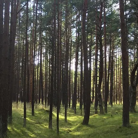 Sunny بيت للعطل *