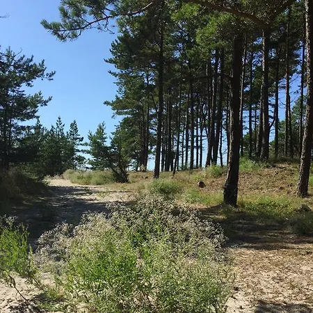 Poilsio namai Sunny Palanga