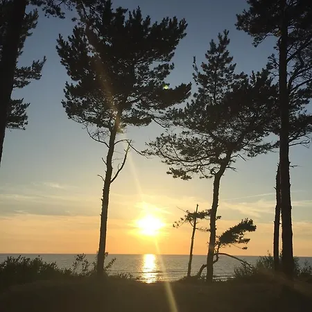 Sunny بالانغا