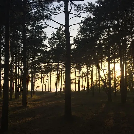 Sunny بيت للعطل