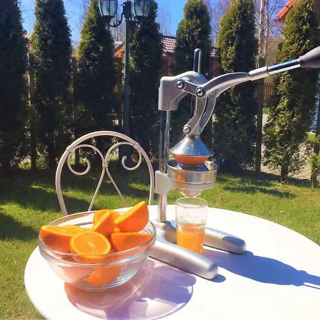 Sunny بالانغا