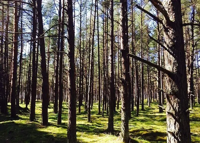 בית נופש Sunny פלאנגה