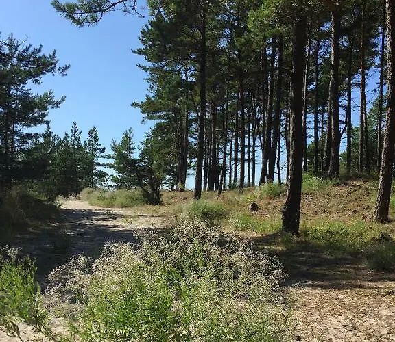 בית נופש Sunny פלאנגה