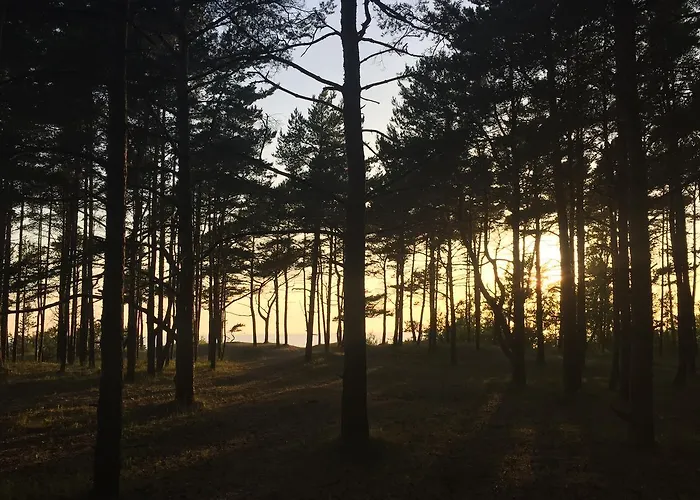 Sunny בית נופש