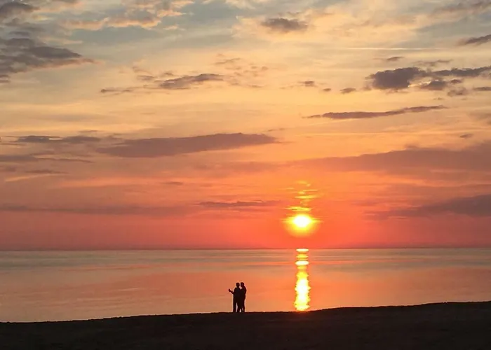 Sunny * פלאנגה